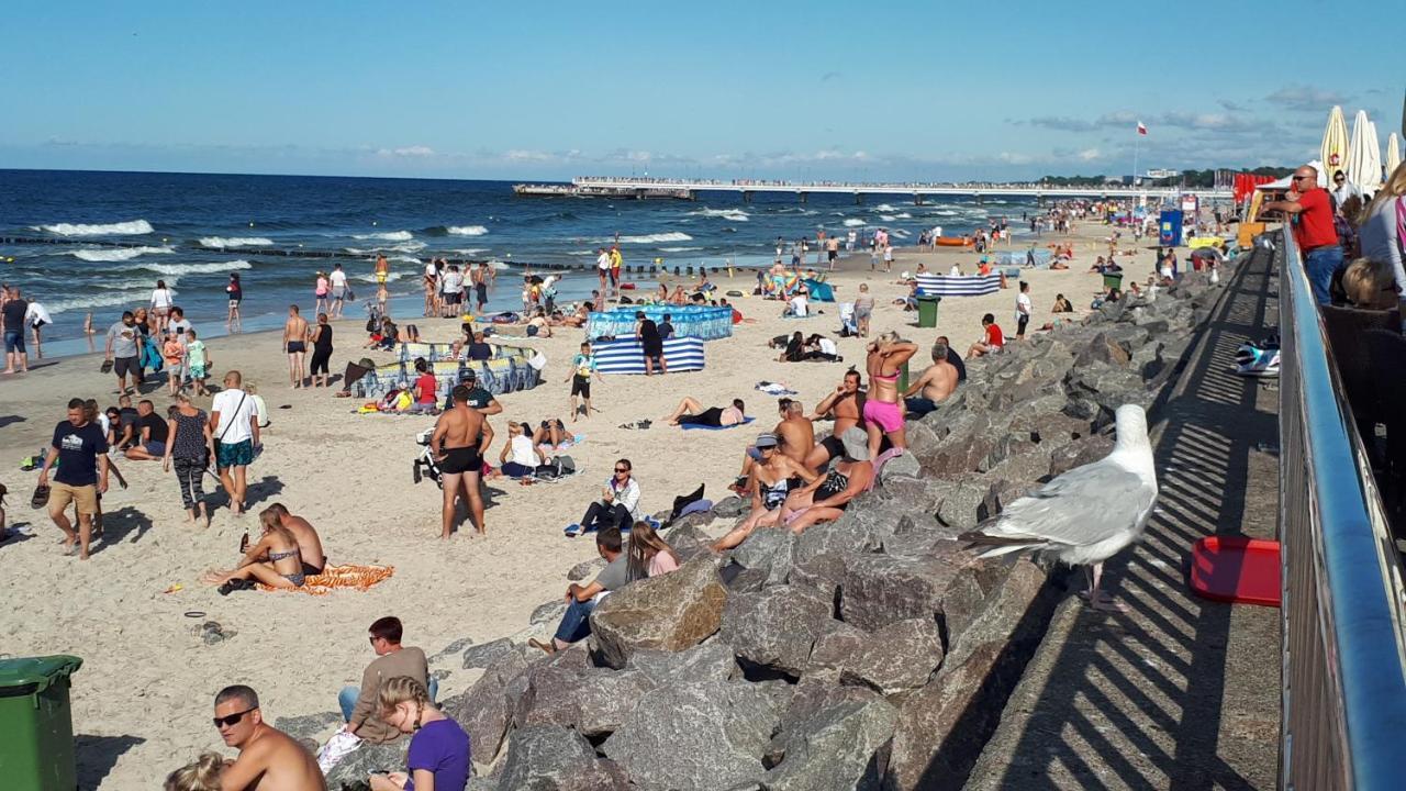 Ambrozja Dom Goscinny Kolobrzeg Luaran gambar
